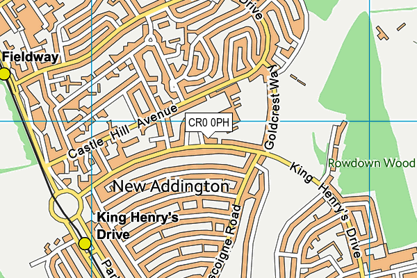 Tudor Academy map (CR0 0PH) - OS VectorMap District (Ordnance Survey)