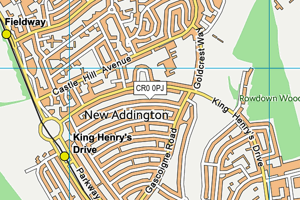 CR0 0PJ map - OS VectorMap District (Ordnance Survey)