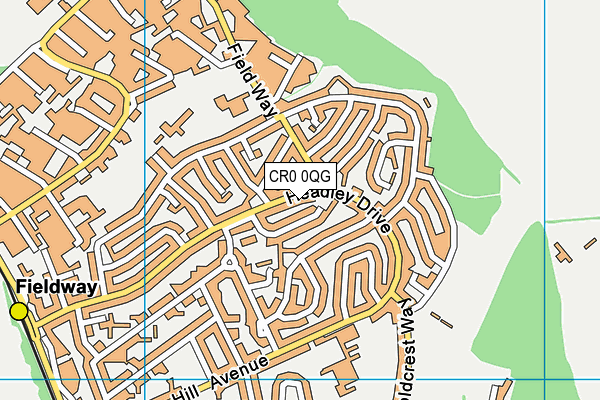 CR0 0QG map - OS VectorMap District (Ordnance Survey)