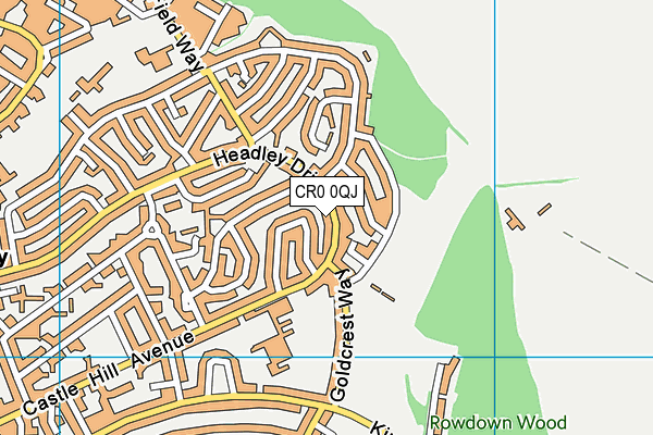 CR0 0QJ map - OS VectorMap District (Ordnance Survey)