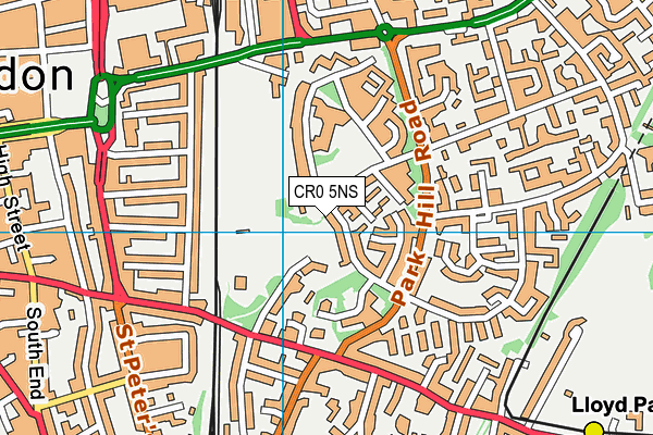 Park Hill Junior School map (CR0 5NS) - OS VectorMap District (Ordnance Survey)