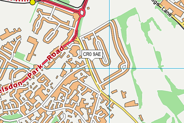 CR0 9AE map - OS VectorMap District (Ordnance Survey)