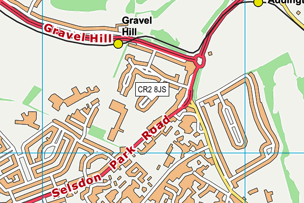 CR2 8JS map - OS VectorMap District (Ordnance Survey)