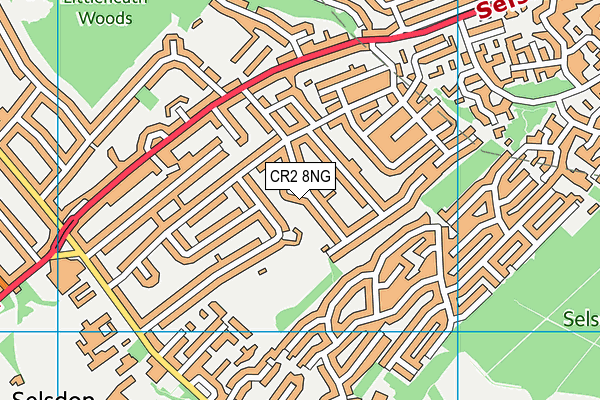 CR2 8NG map - OS VectorMap District (Ordnance Survey)