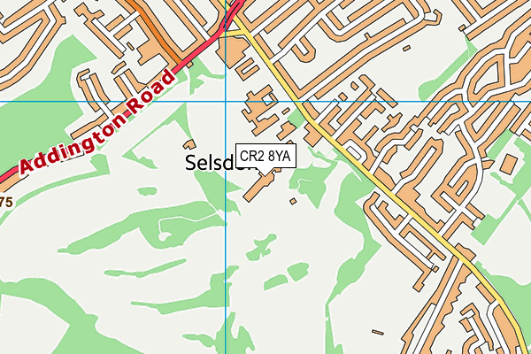 Club At Selsdon Park (Closed) map (CR2 8YA) - OS VectorMap District (Ordnance Survey)