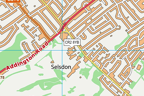 Croydon Sports Club map (CR2 8YB) - OS VectorMap District (Ordnance Survey)
