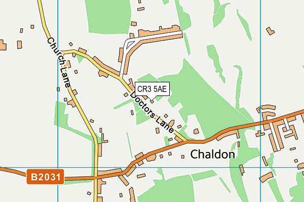 CR3 5AE map - OS VectorMap District (Ordnance Survey)