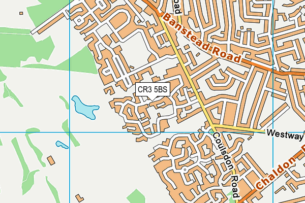 CR3 5BS map - OS VectorMap District (Ordnance Survey)