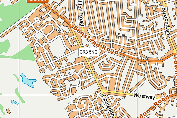 CR3 5NG map - OS VectorMap District (Ordnance Survey)