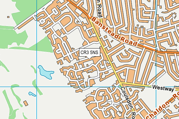 CR3 5NS map - OS VectorMap District (Ordnance Survey)