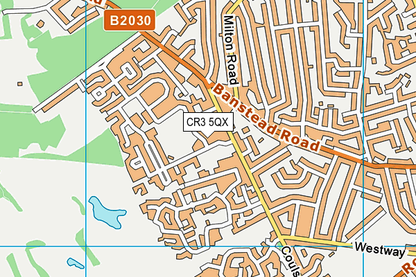 The Village Caterham map (CR3 5QX) - OS VectorMap District (Ordnance Survey)