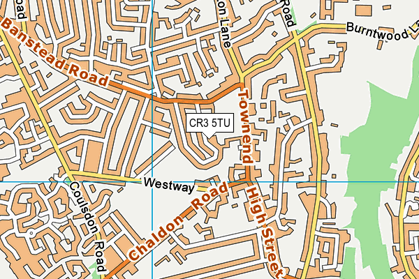 CR3 5TU map - OS VectorMap District (Ordnance Survey)