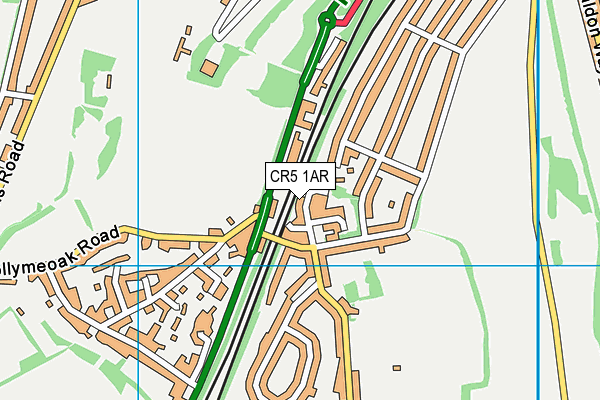 CR5 1AR map - OS VectorMap District (Ordnance Survey)