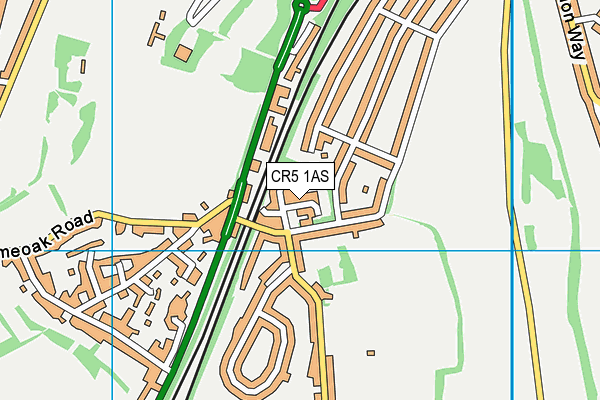 CR5 1AS map - OS VectorMap District (Ordnance Survey)