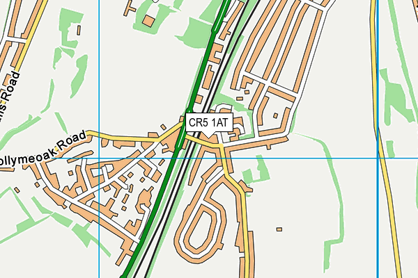 CR5 1AT map - OS VectorMap District (Ordnance Survey)
