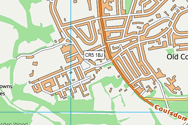 CR5 1BJ map - OS VectorMap District (Ordnance Survey)