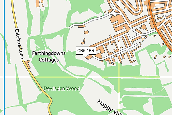 CR5 1BR map - OS VectorMap District (Ordnance Survey)