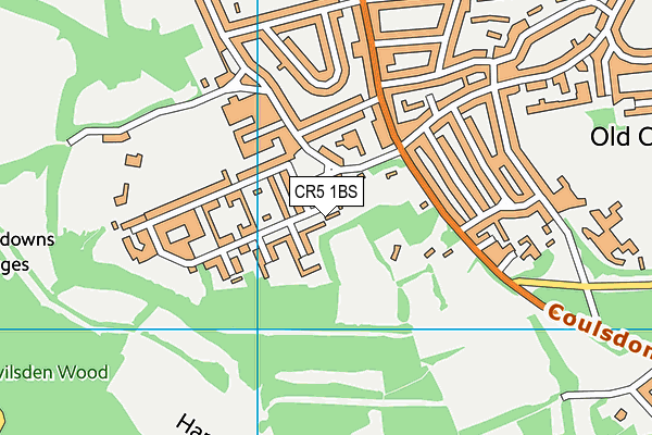 CR5 1BS map - OS VectorMap District (Ordnance Survey)