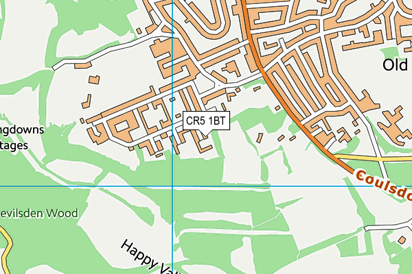 CR5 1BT map - OS VectorMap District (Ordnance Survey)