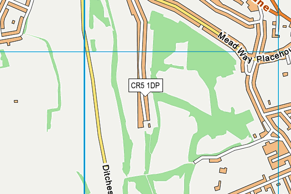 CR5 1DP map - OS VectorMap District (Ordnance Survey)