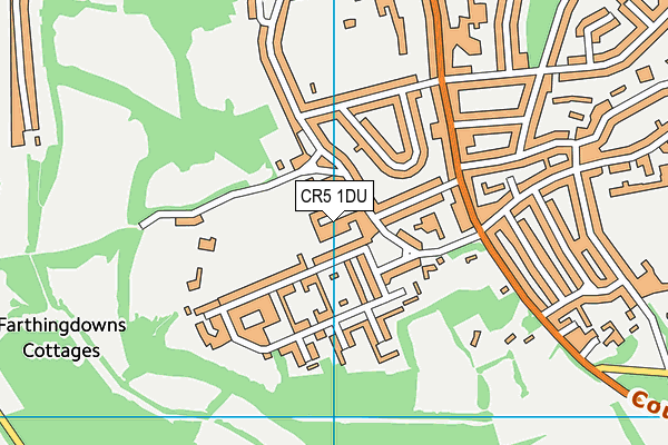 CR5 1DU map - OS VectorMap District (Ordnance Survey)