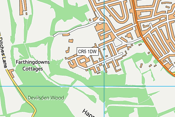 CR5 1DW map - OS VectorMap District (Ordnance Survey)