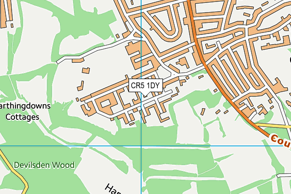 CR5 1DY map - OS VectorMap District (Ordnance Survey)