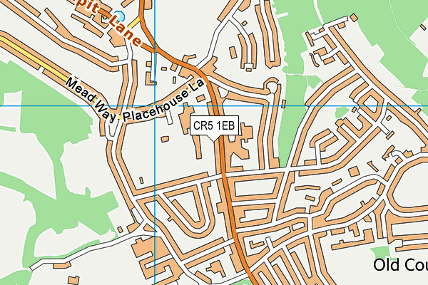 CR5 1EB map - OS VectorMap District (Ordnance Survey)