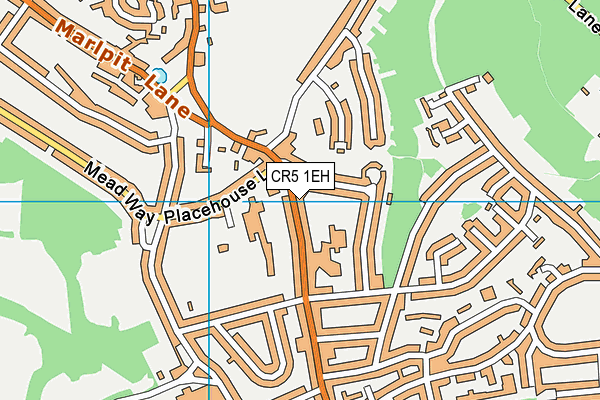 CR5 1EH map - OS VectorMap District (Ordnance Survey)