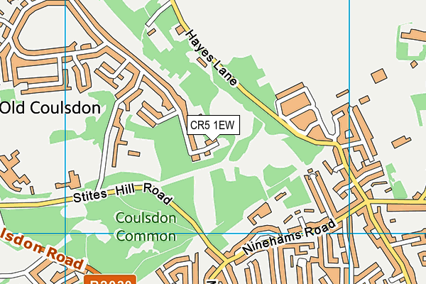 CR5 1EW map - OS VectorMap District (Ordnance Survey)