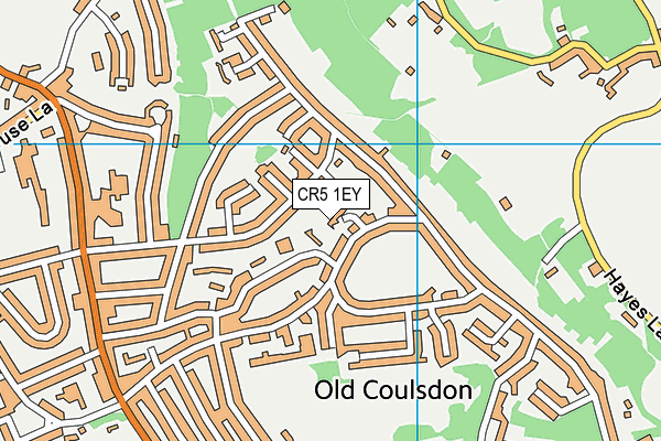 CR5 1EY map - OS VectorMap District (Ordnance Survey)