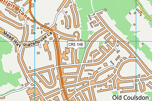 CR5 1HE map - OS VectorMap District (Ordnance Survey)