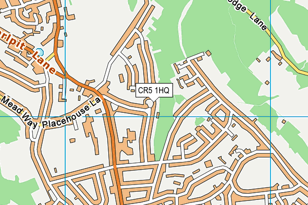 CR5 1HQ map - OS VectorMap District (Ordnance Survey)