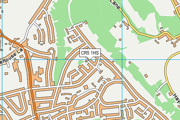 CR5 1HS map - OS VectorMap District (Ordnance Survey)