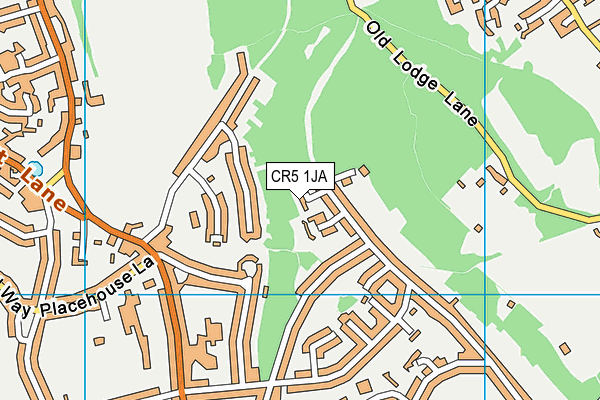 CR5 1JA map - OS VectorMap District (Ordnance Survey)