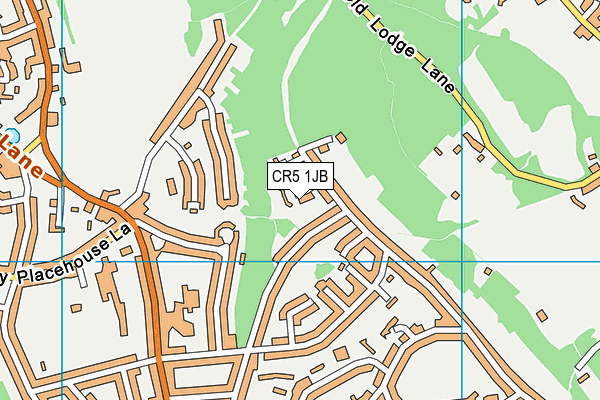 CR5 1JB map - OS VectorMap District (Ordnance Survey)