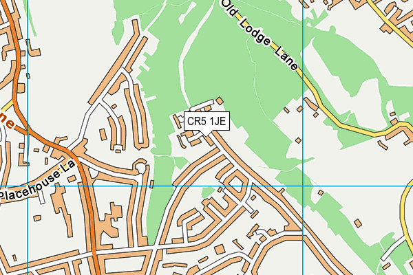 CR5 1JE map - OS VectorMap District (Ordnance Survey)