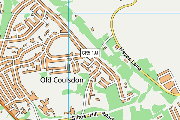 CR5 1JJ map - OS VectorMap District (Ordnance Survey)