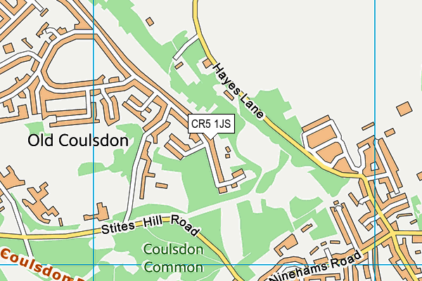 CR5 1JS map - OS VectorMap District (Ordnance Survey)