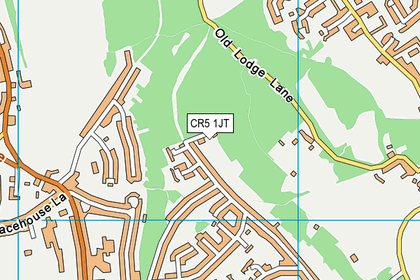 CR5 1JT map - OS VectorMap District (Ordnance Survey)