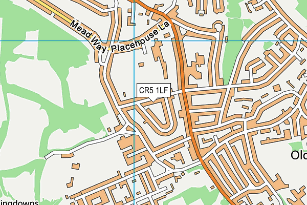 CR5 1LF map - OS VectorMap District (Ordnance Survey)