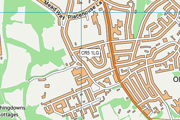 CR5 1LG map - OS VectorMap District (Ordnance Survey)