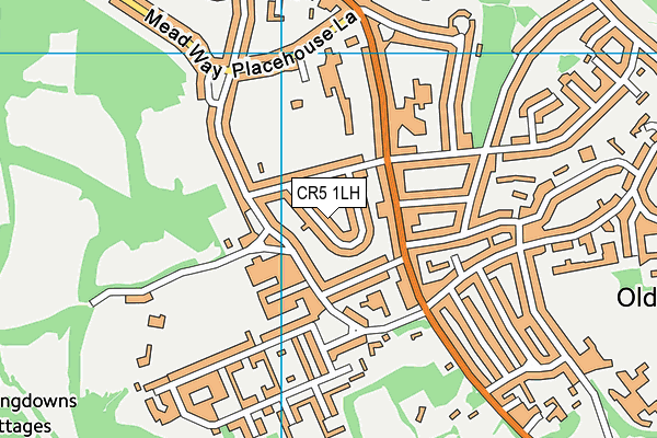 CR5 1LH map - OS VectorMap District (Ordnance Survey)