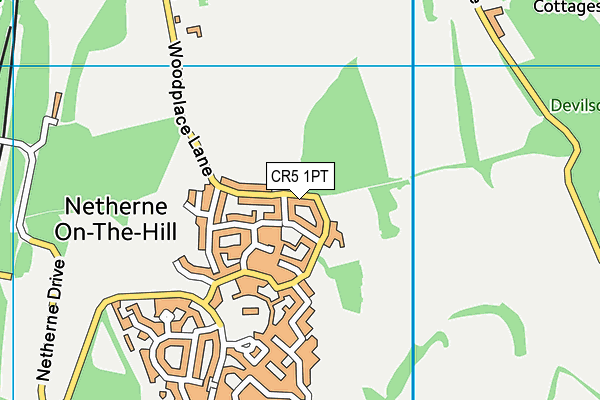 CR5 1PT map - OS VectorMap District (Ordnance Survey)