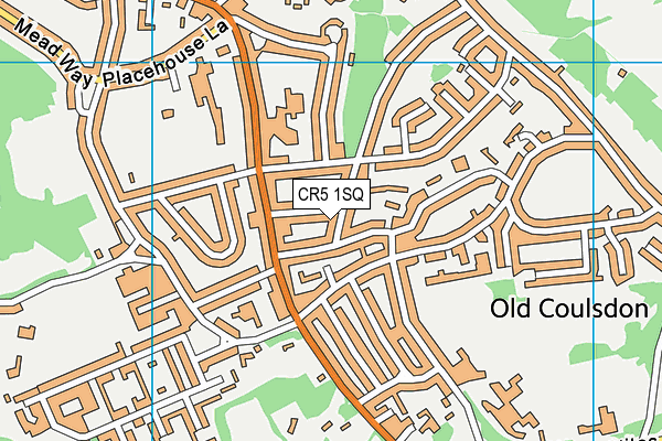 CR5 1SQ map - OS VectorMap District (Ordnance Survey)