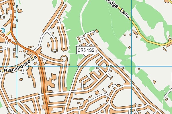 CR5 1SS map - OS VectorMap District (Ordnance Survey)