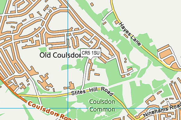 CR5 1SU map - OS VectorMap District (Ordnance Survey)