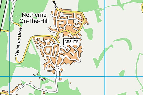 CR5 1TB map - OS VectorMap District (Ordnance Survey)