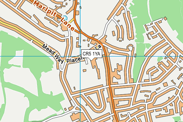 CR5 1YA map - OS VectorMap District (Ordnance Survey)