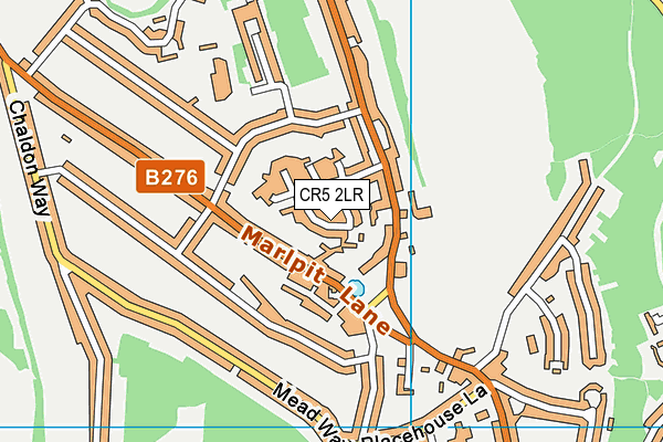 CR5 2LR map - OS VectorMap District (Ordnance Survey)